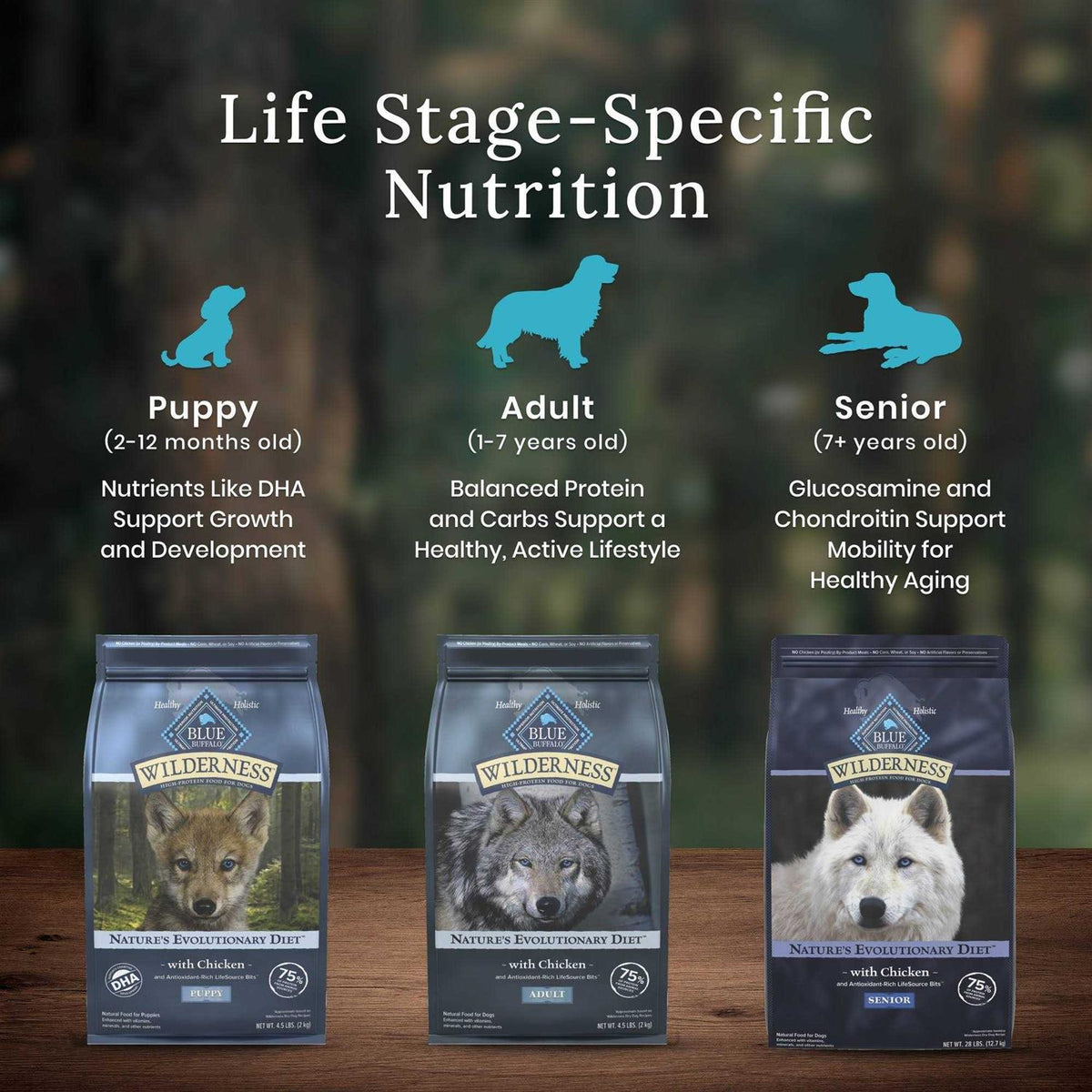 Dog Food T5784