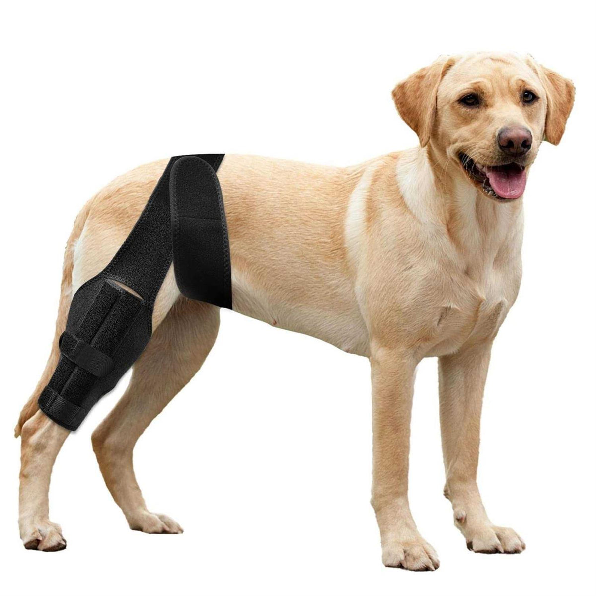 Dog Knee Brace for ACL Cruciate Ligament Injury M4196