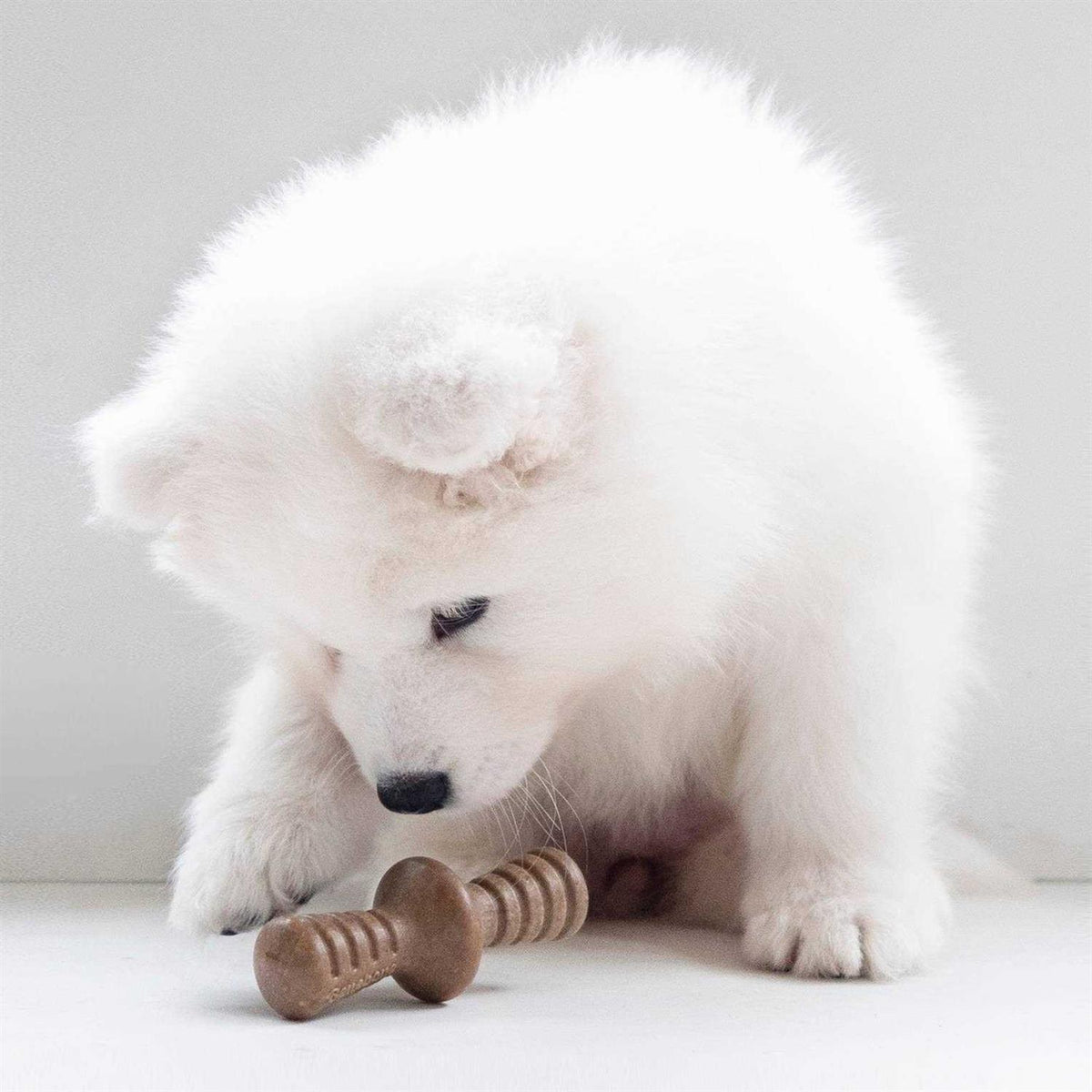 Benebone Zaggler W314862