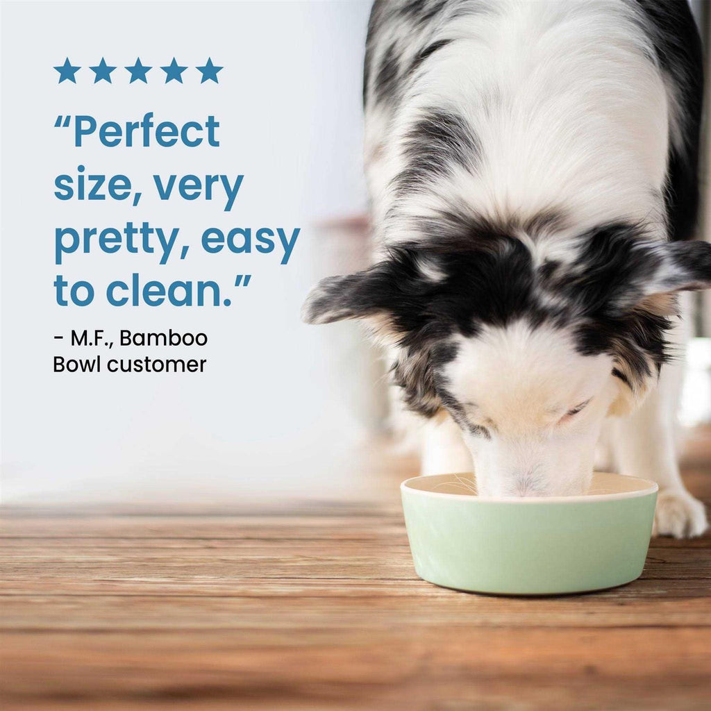 Bamboo Bowl N43543