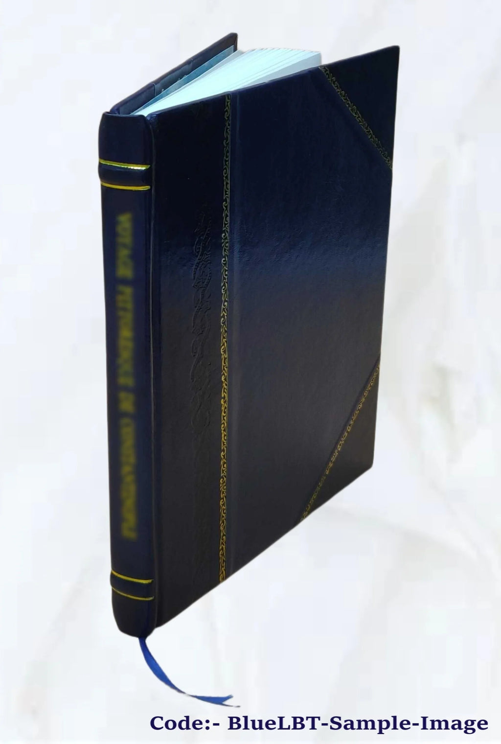 Leather Bound Book B355