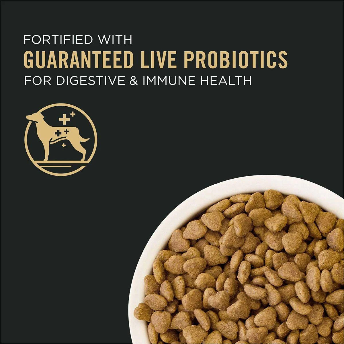 High Protein Small Bites Lamb and Rice Dog Food L26736