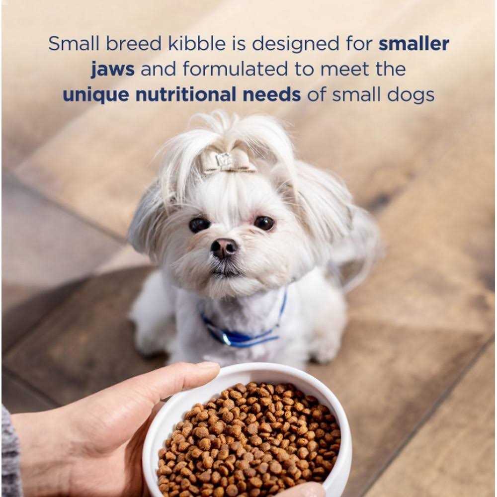Grain Free Salmon & Sweet Potato Small Breed Dry Dog Food I4946