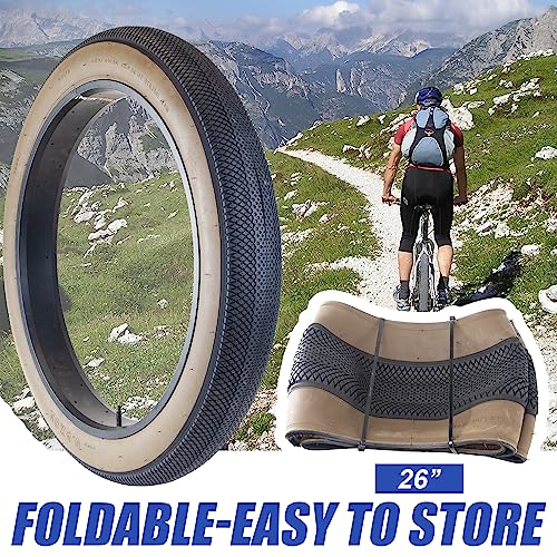 Fat Tire 20" x 4" N1617