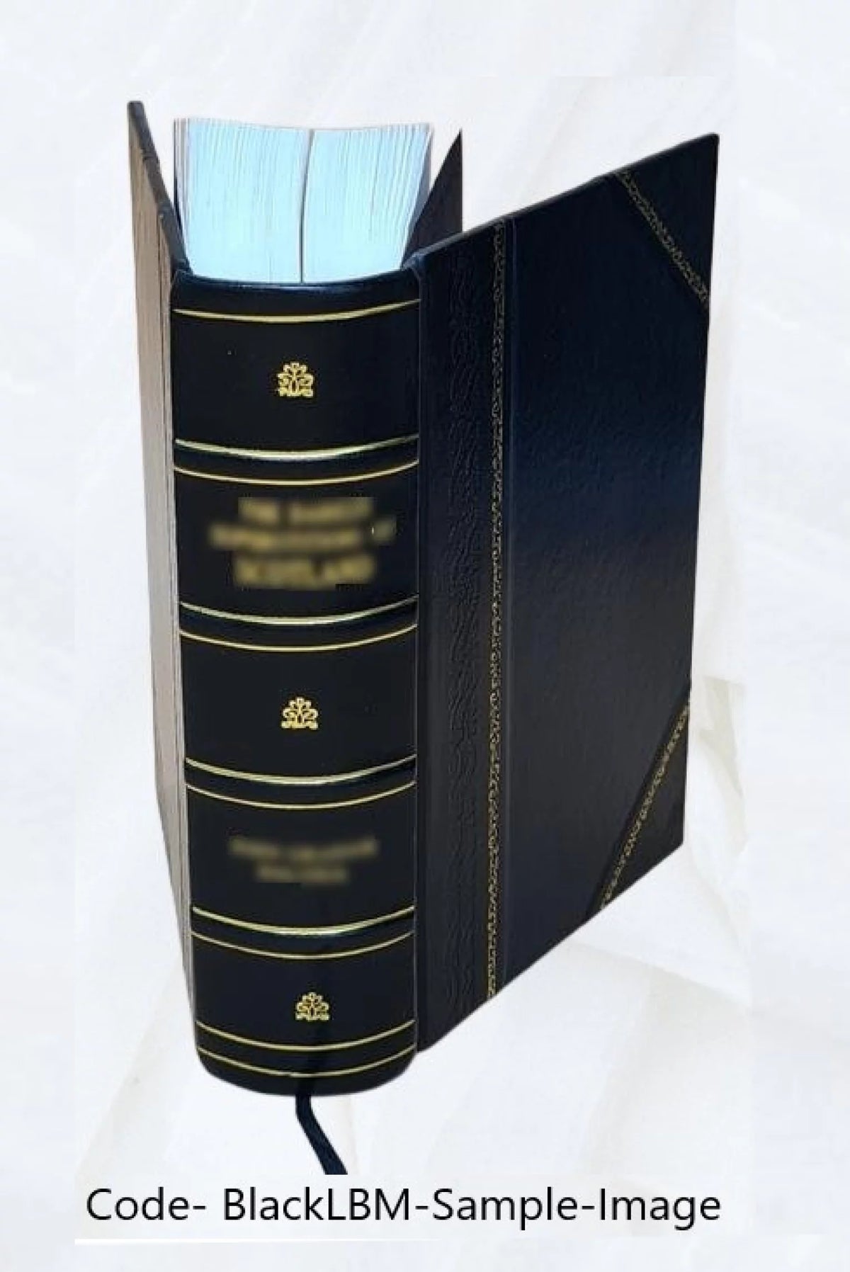 Electric Light and Power Companies Directory Leather Bound F2262