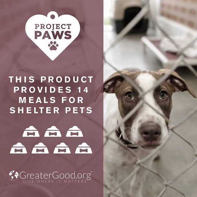 Chewable Dog Supplement E9580
