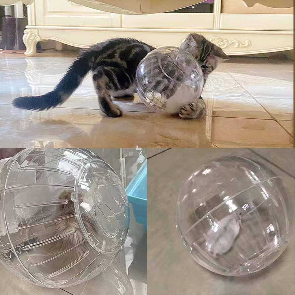 Hamster Exercise Ball Transparent A942