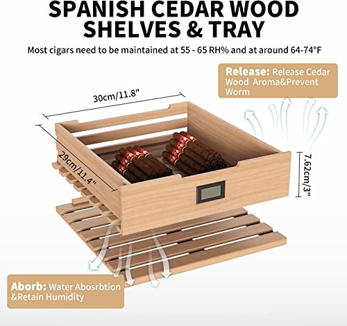 48L Electric Cooler Cabinet with Spanish Cedar Wood Shelves J494928