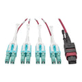 OM4 Fiber Optic Patch Cable 10 ft Magenta X731241