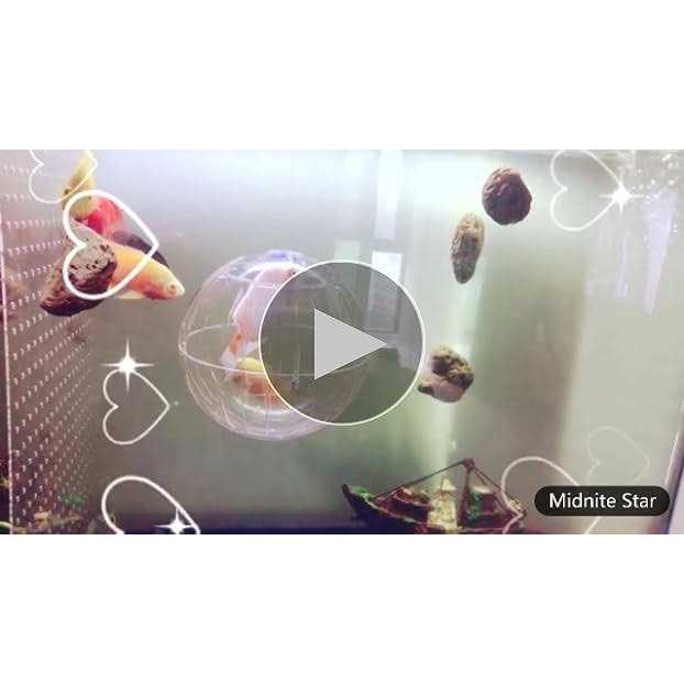 Hamster Exercise Ball Transparent A942