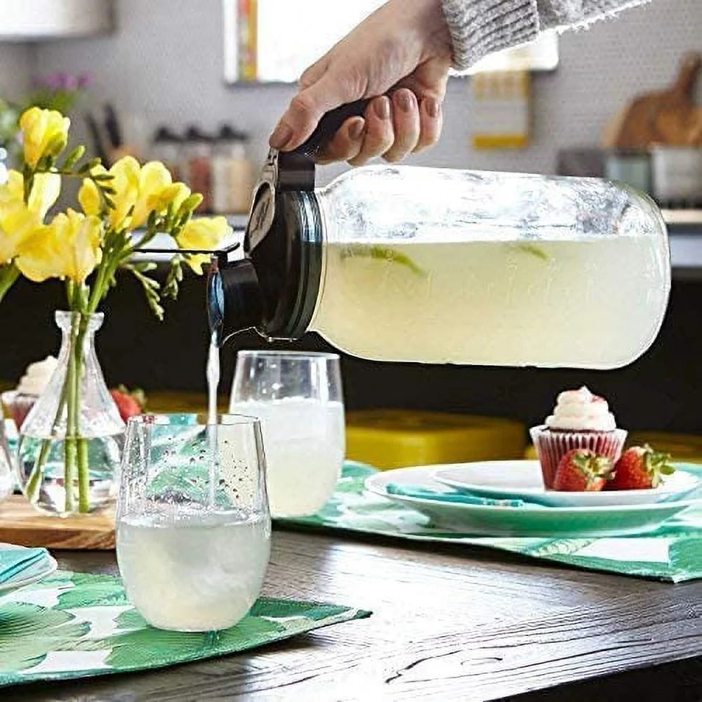 Fruit Infuser Water Bottle with Thermal Jar Y870
