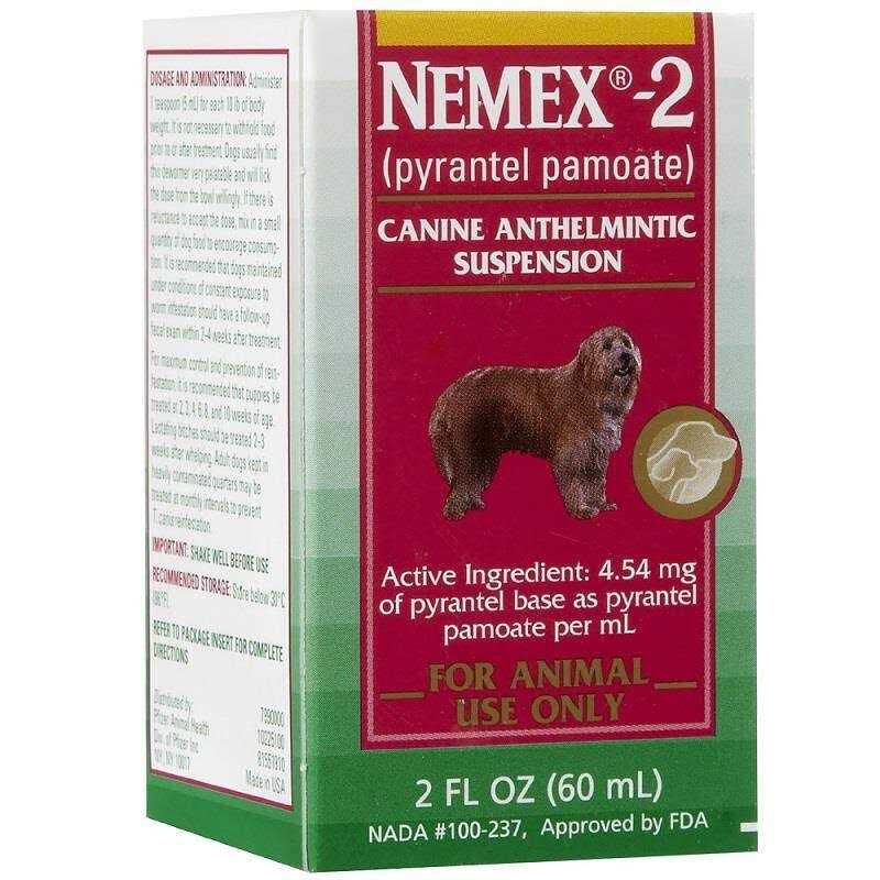 Nemex 2 G864