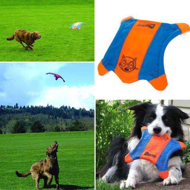Flying Squirrel Toy H5490