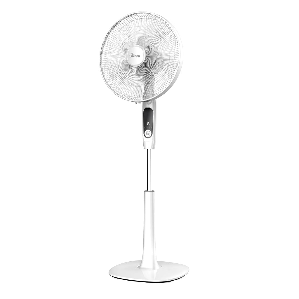 Double Blade Fan Q5998