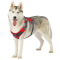 Adjustable Dog Harness with Pockets M8267