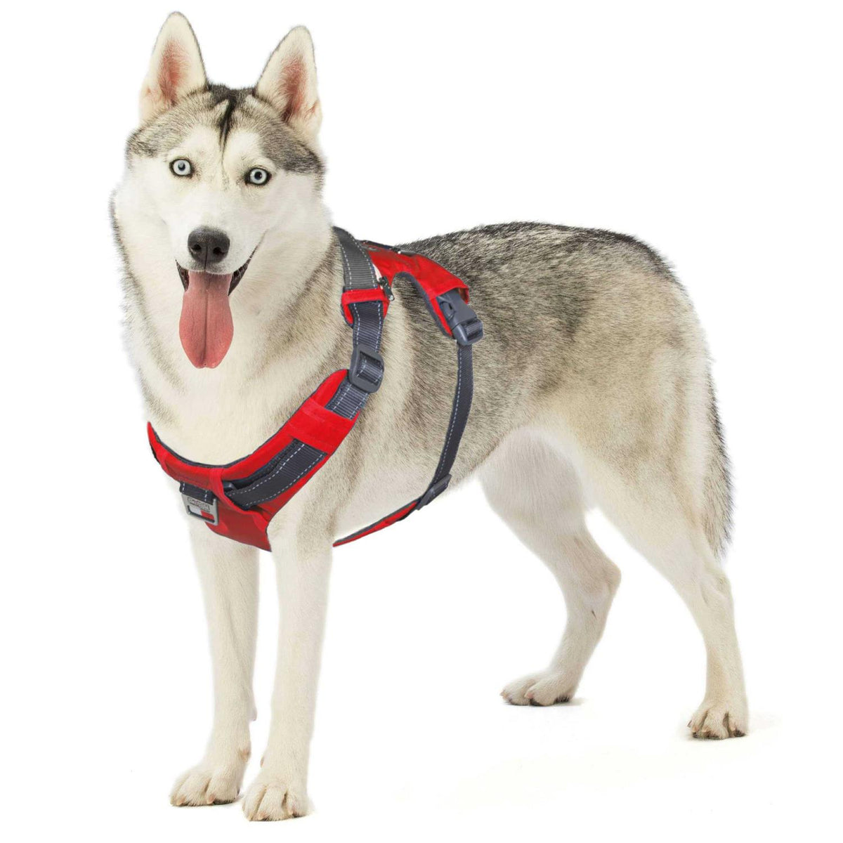 Adjustable Dog Harness with Pockets M8267