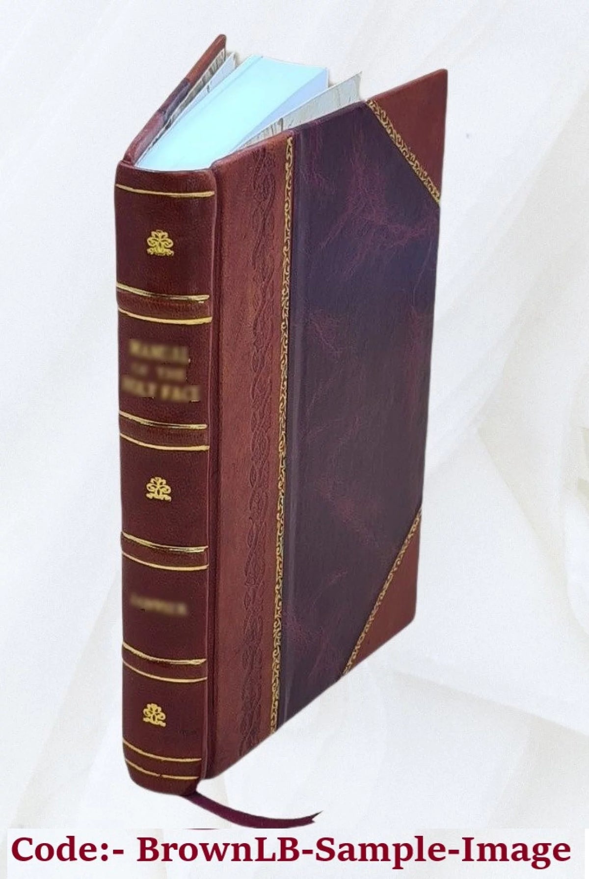 Metallurgical and Chemical Machinery Appliances and Material Leather Bound N881