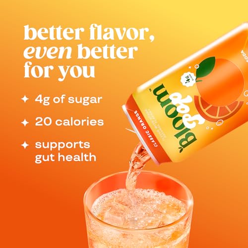 Prebiotic Soda 12 Pack, 12oz Cans N492