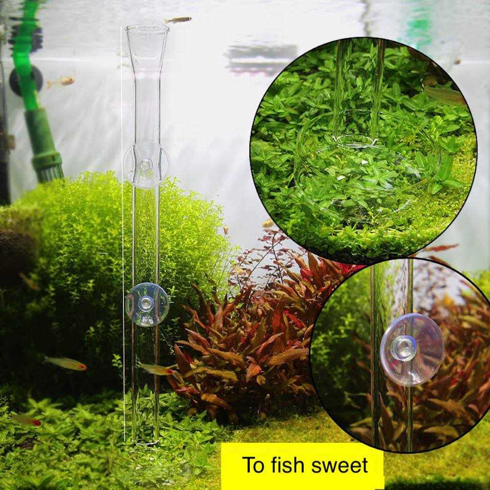 Aquarium Shrimp Feeding Tube and Dish Clear Crystal Glass Feeder Tray G4744