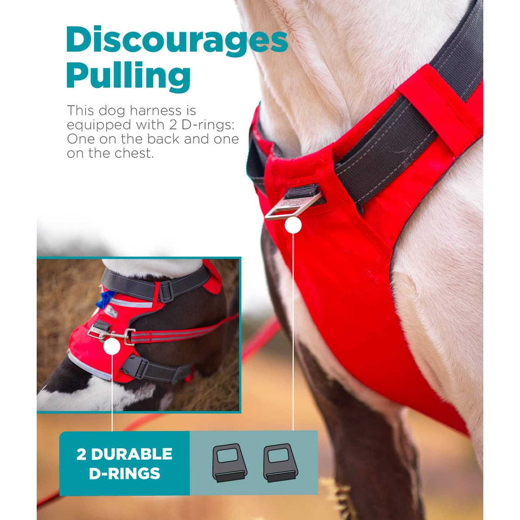 Adjustable Dog Harness with Pockets M8267