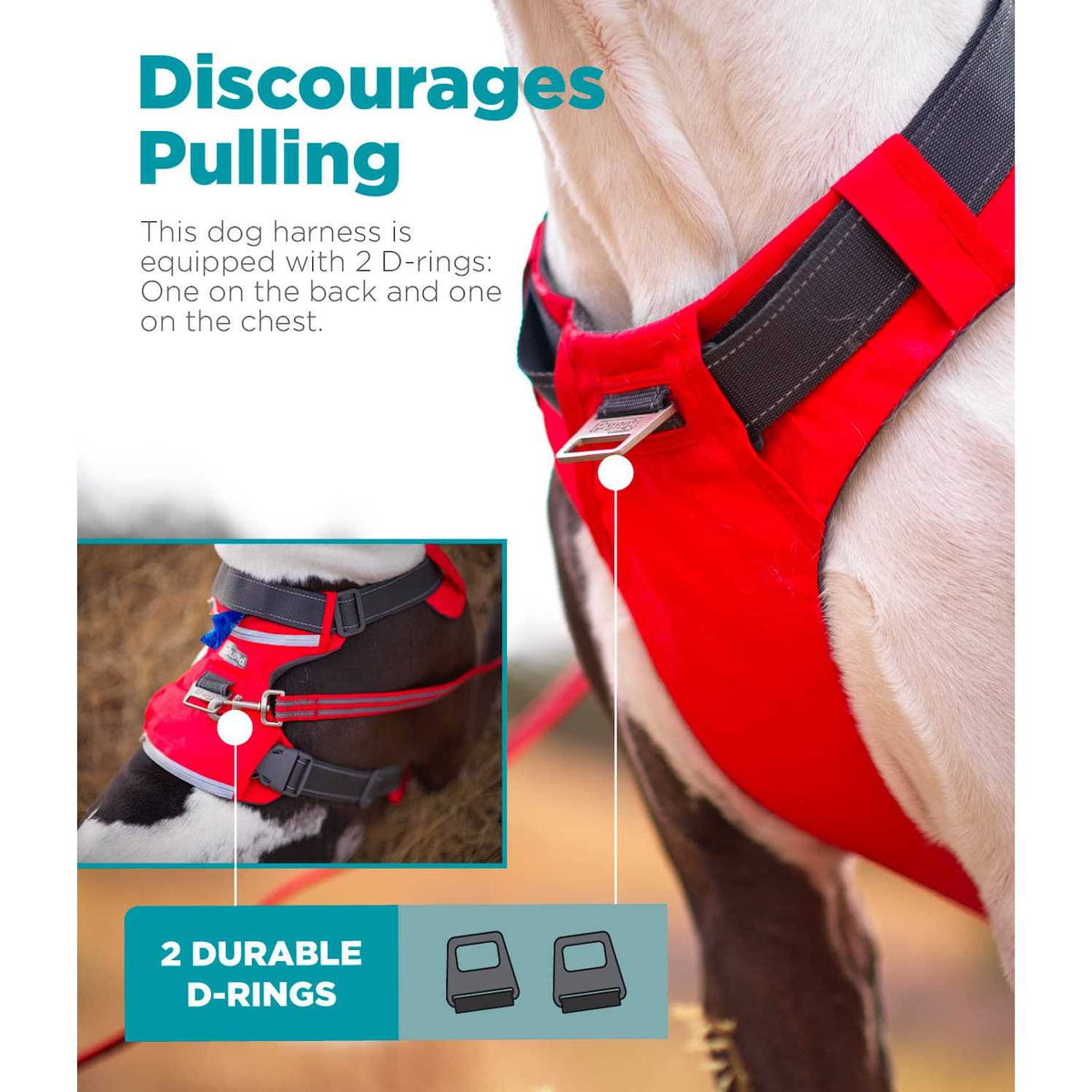 Adjustable Dog Harness with Pockets M8267