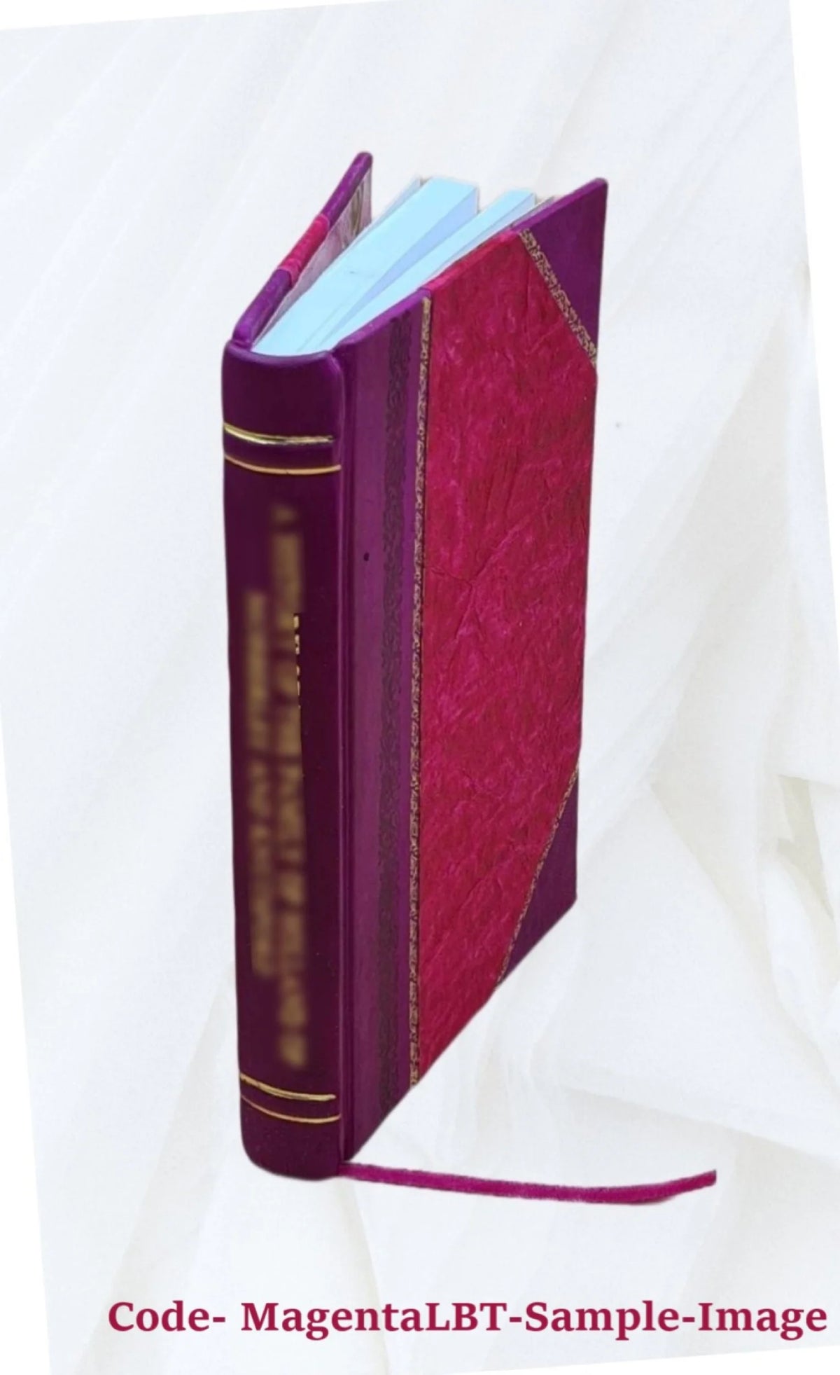 Leather Bound Book P238