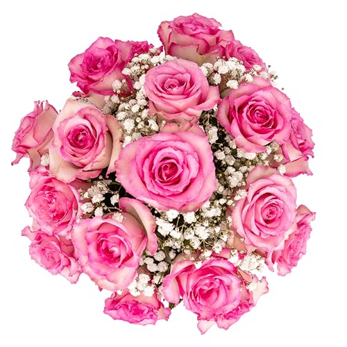 Pink Roses and Baby's Breath Fresh Flowers Bouquet with Vase E2617