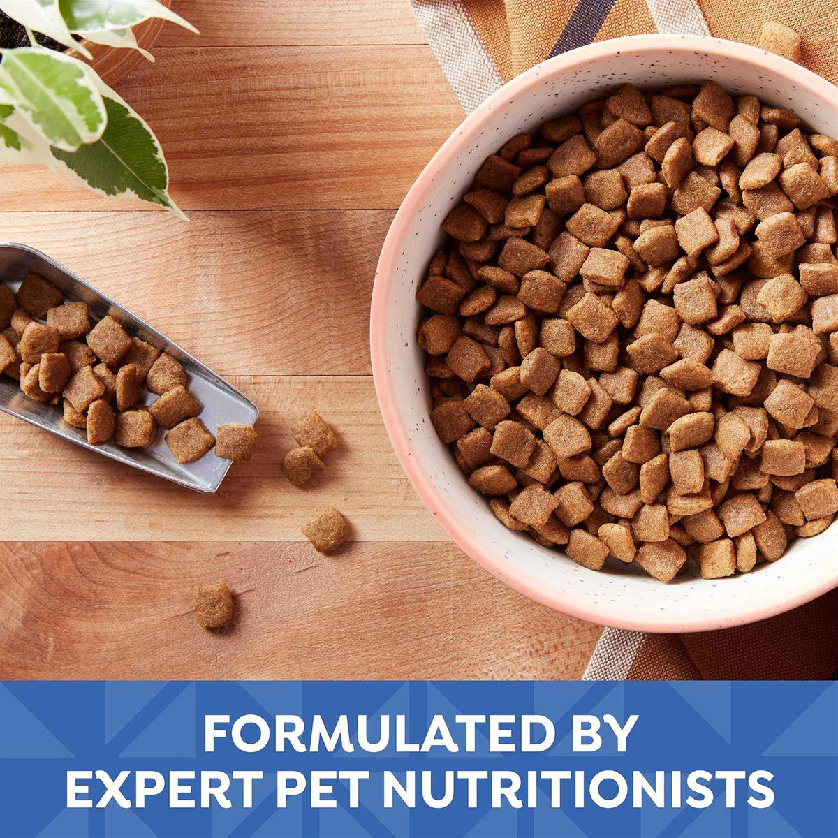 Small Bites Dry Dog Food Z3586