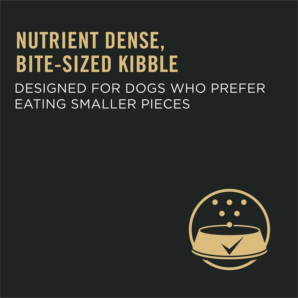 High Protein Small Bites Lamb and Rice Dog Food L26736