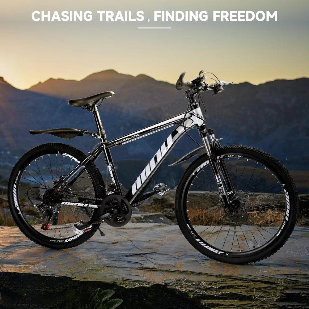 Full Suspension 21 Speed 26 inch Dual Disc Brake Mountain Bike W4996