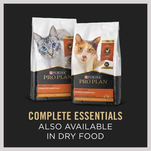 Grain Free Pate Wet Cat Food Turkey and Vegetables Entree W82400