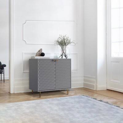 2 Door Accent Cabinet Gray K921