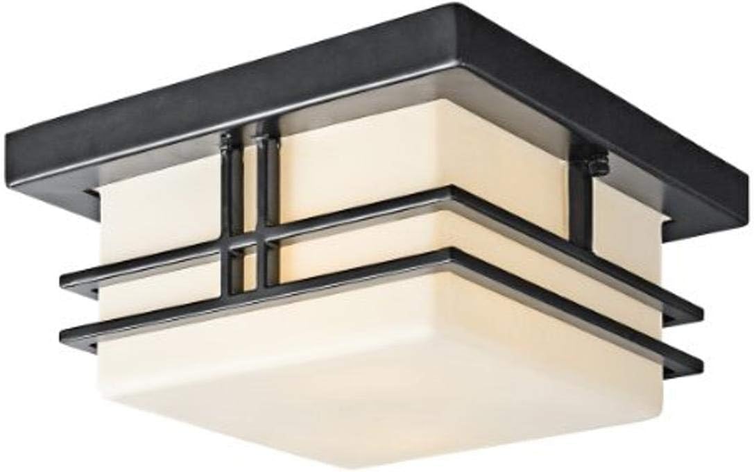 2 Light Black Outdoor Semi Flush Light O287