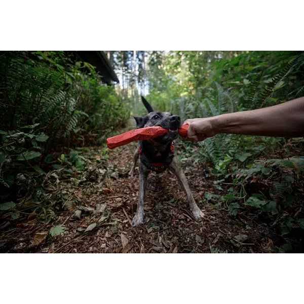 Toy Ruffwear P759359