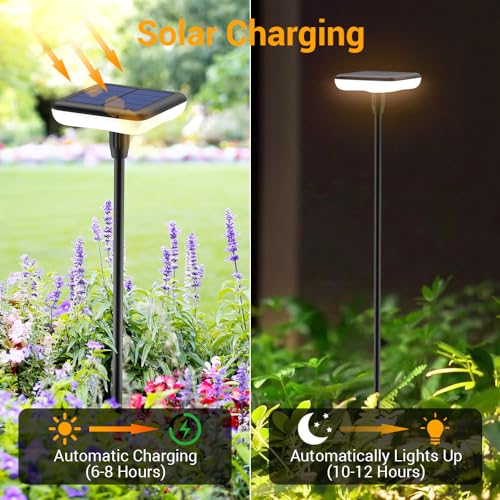 4 Pack 31" Tall Solar Pathway Light B78326