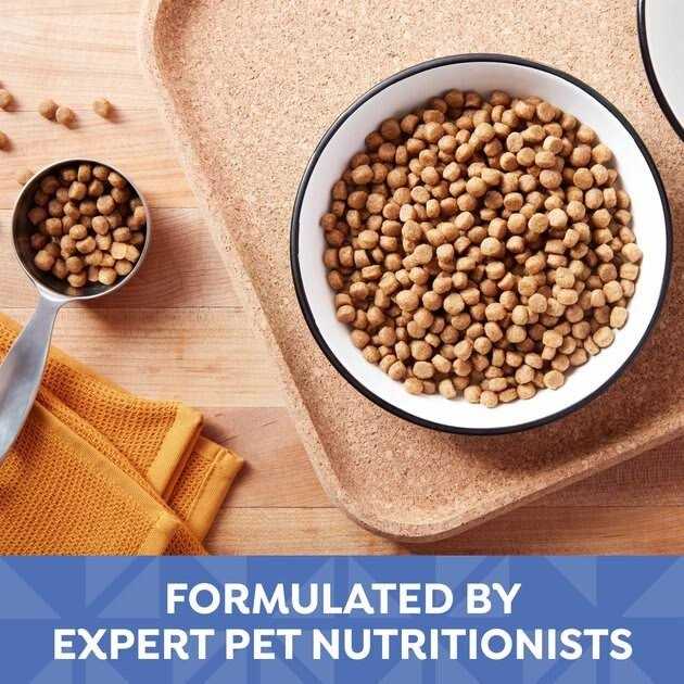 Small Bites Dry Dog Food Z3586