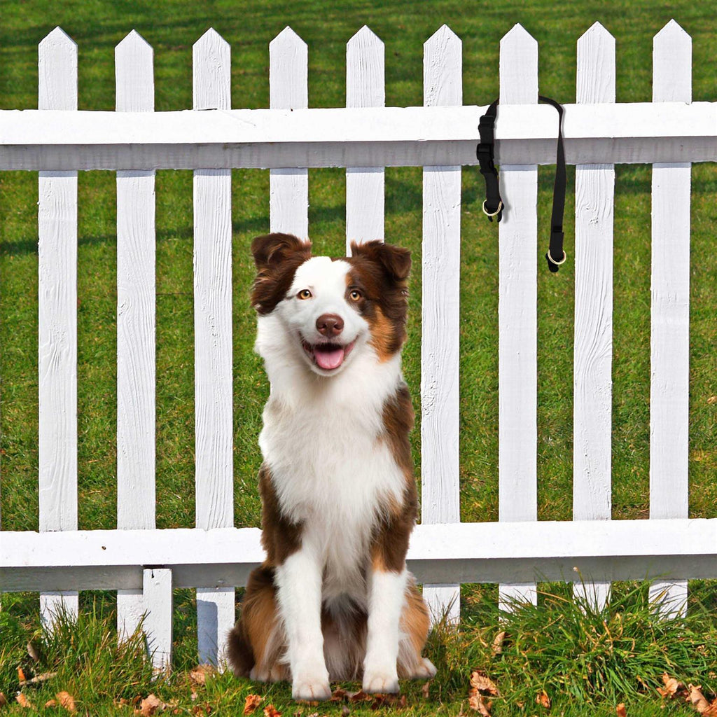Break-Away Dog Collar E975866