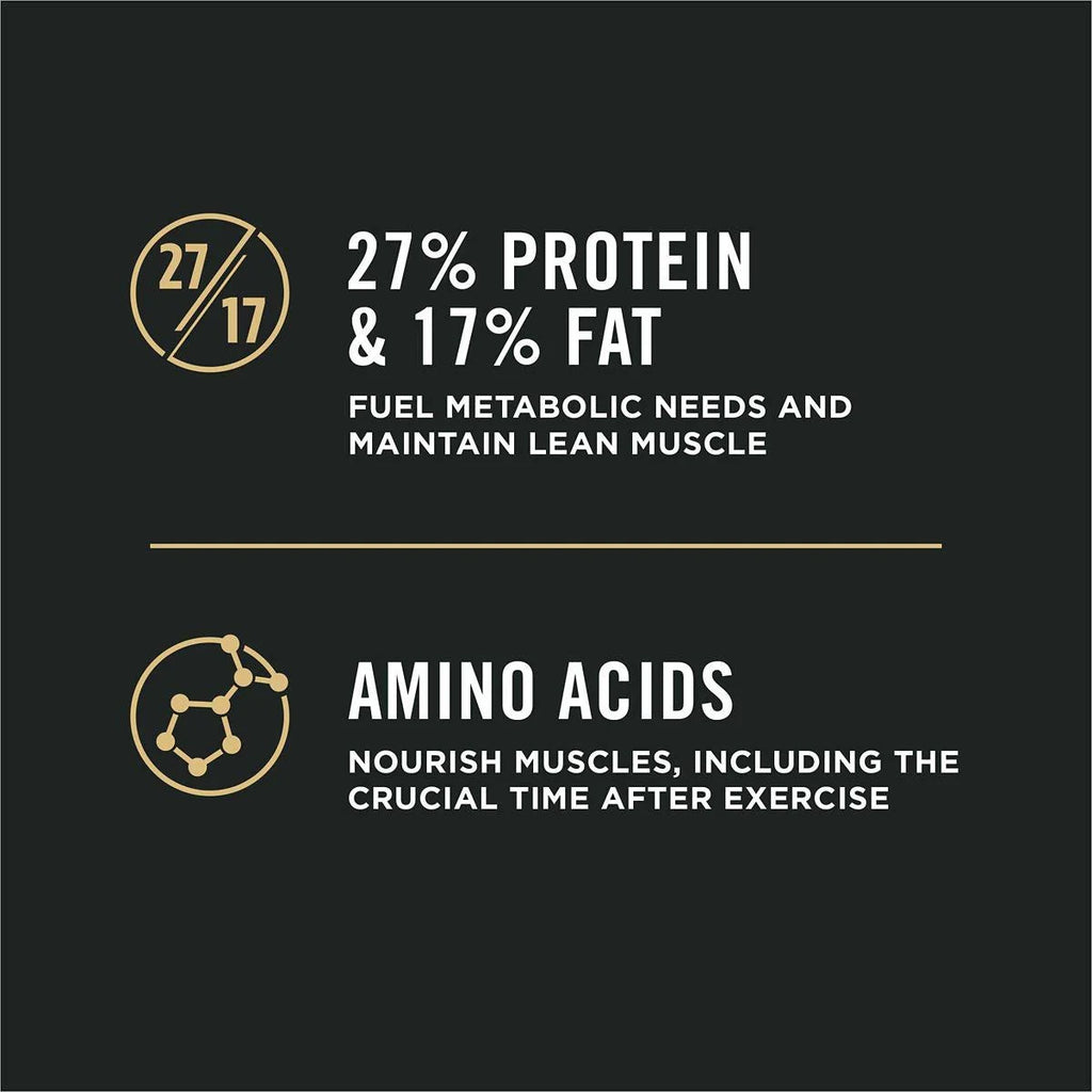 High Protein Small Bites Lamb and Rice Dog Food L26736