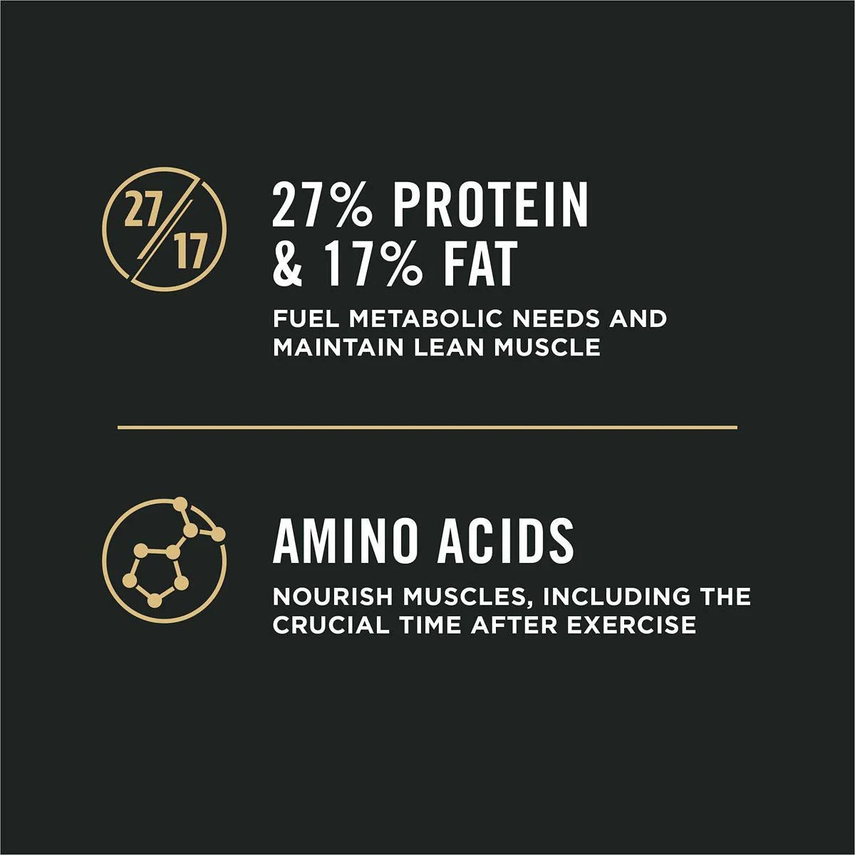 High Protein Small Bites Lamb and Rice Dog Food L26736