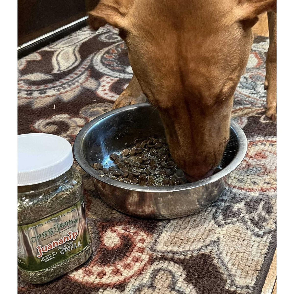 3.67-oz jar Pet Supplies P1687