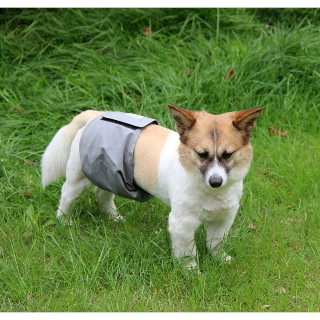 5 Pack Washable Dog Diapers Male Z885546