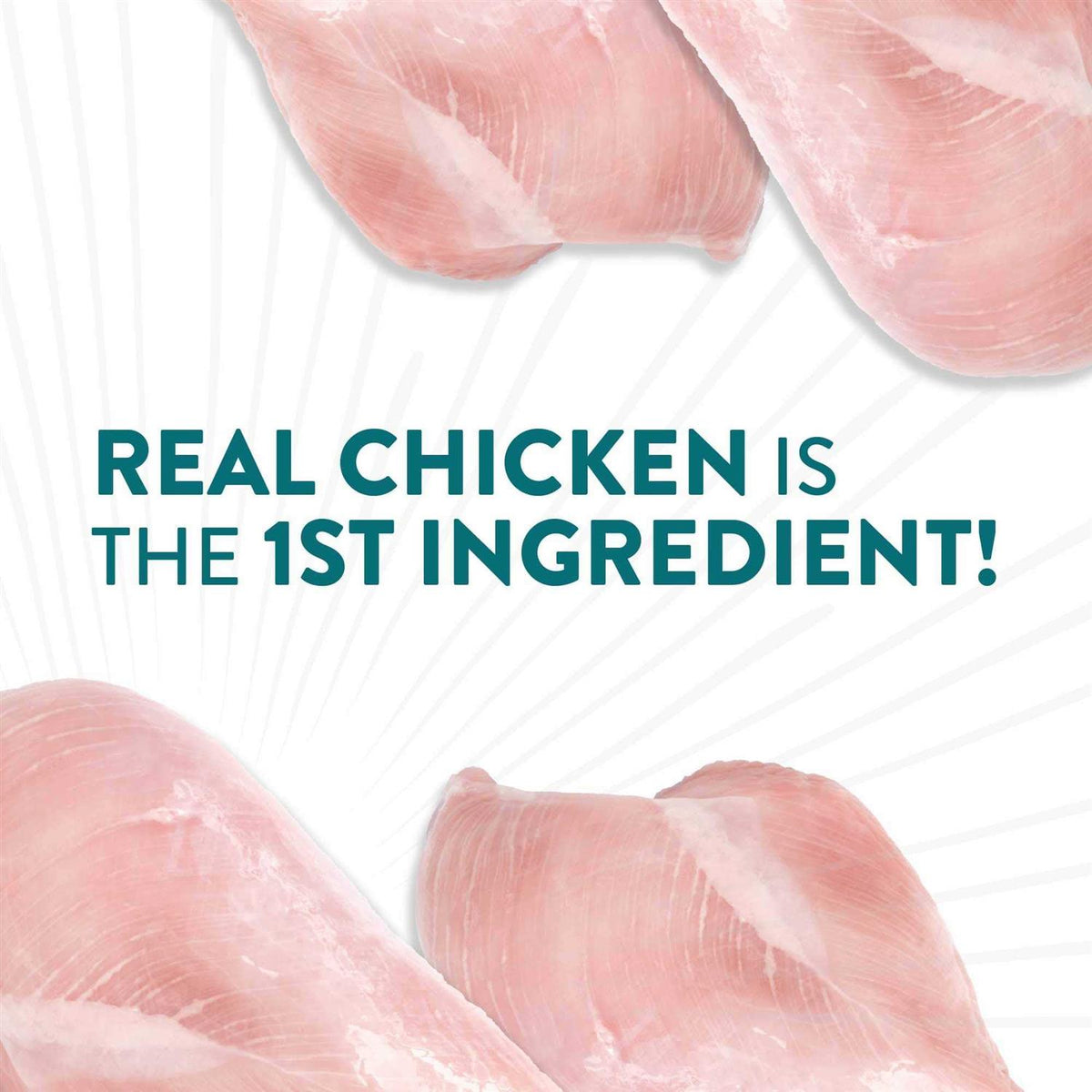 Chicken Dog Treats E2779