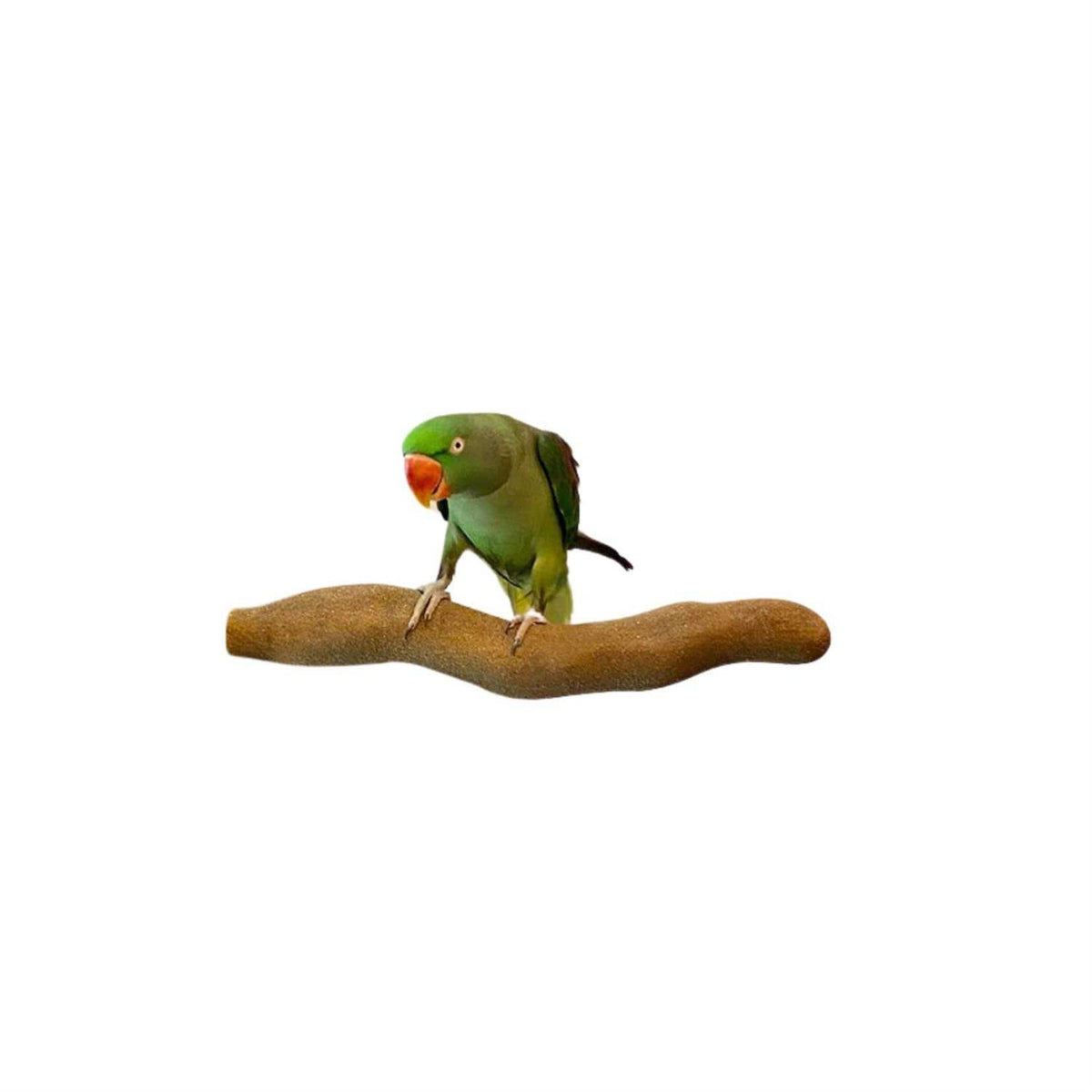 Orthopedic Pet Products S4651