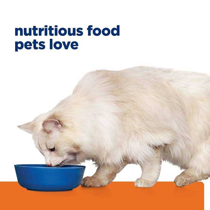 Urinary Care Dry Cat Food D25619