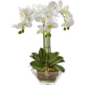 White Artificial Orchid Flowers in Glass Vase B329545