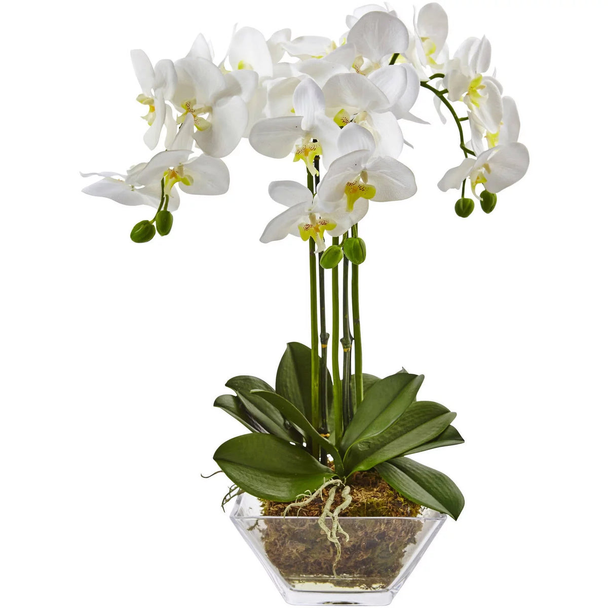 White Artificial Orchid Flowers in Glass Vase B329545