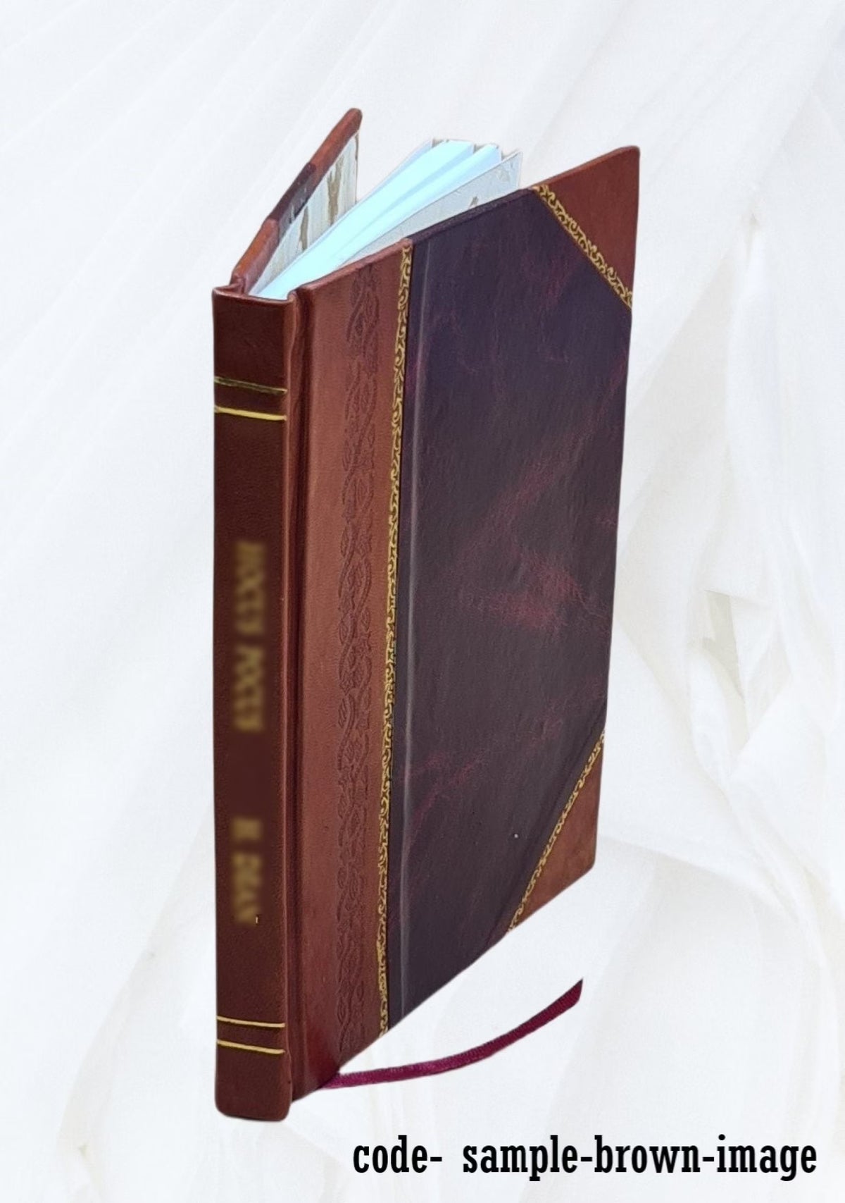Leather Bound Book B355