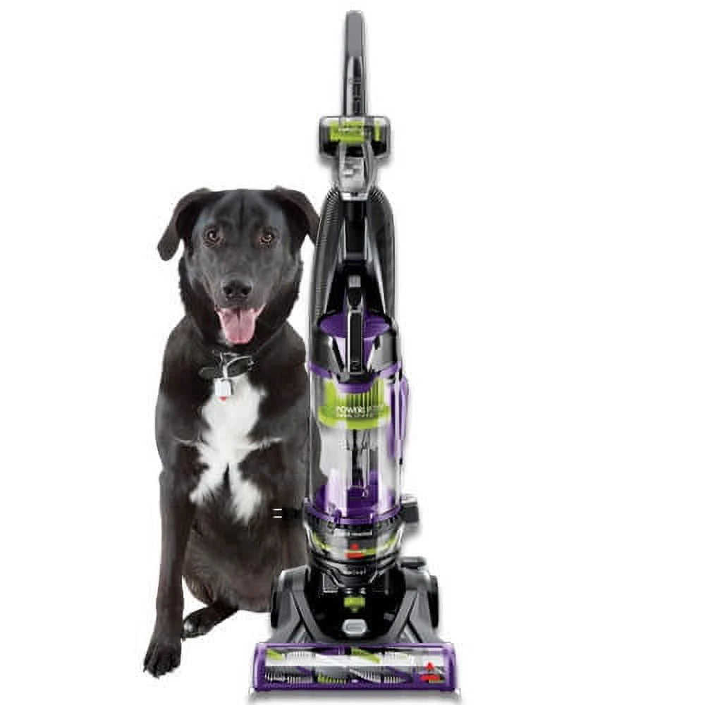 Bagless Upright Vacuum W8098