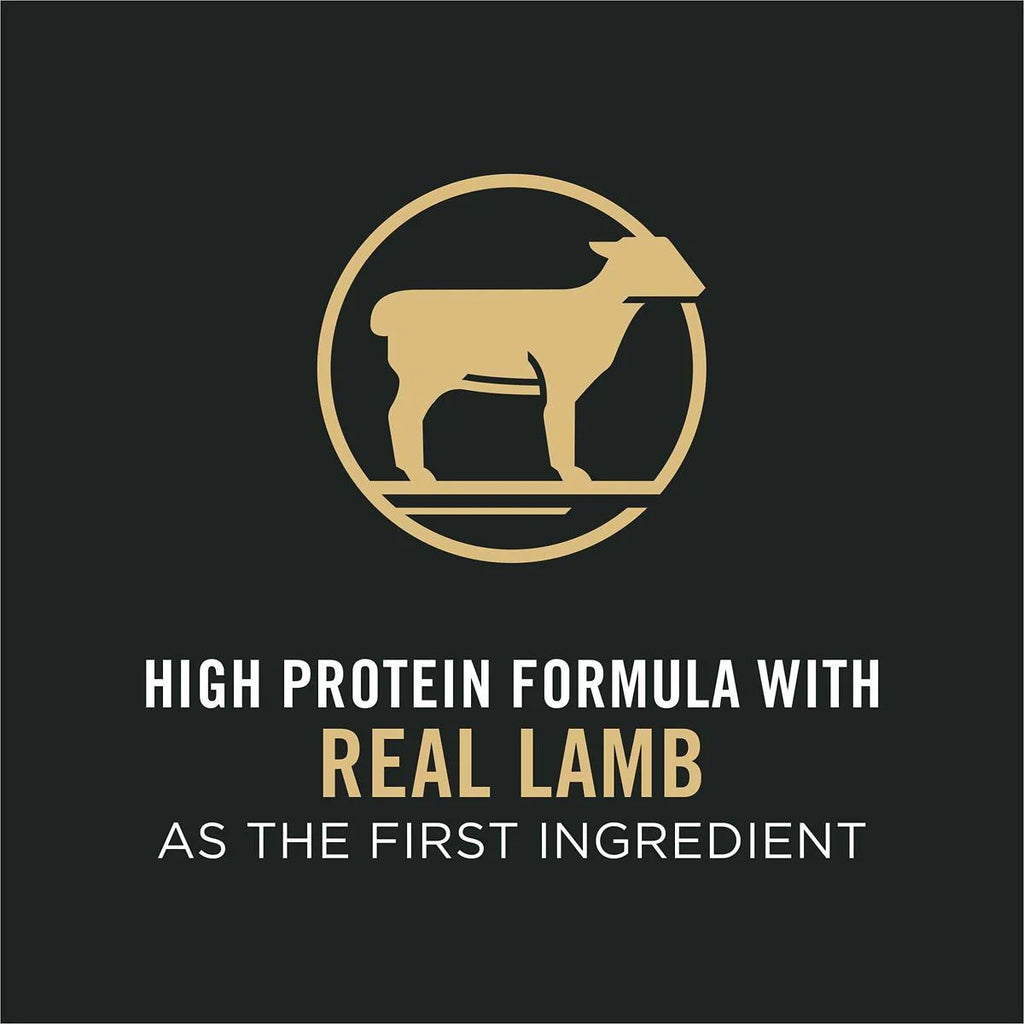 High Protein Small Bites Lamb and Rice Dog Food L26736