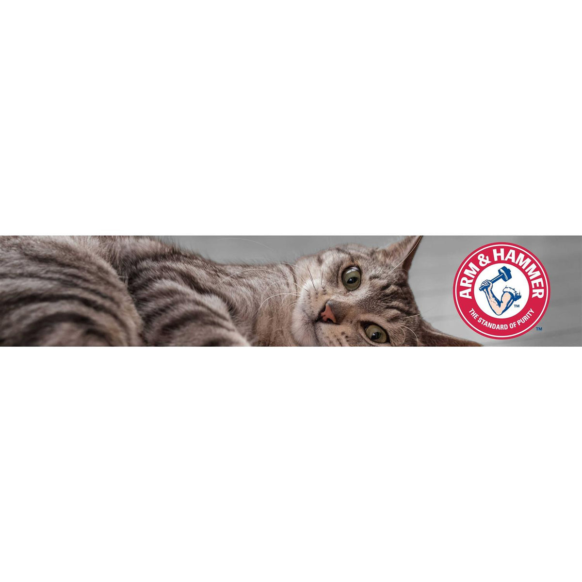 Clump & Seal Multi-Cat Clumping Cat Litter M455816